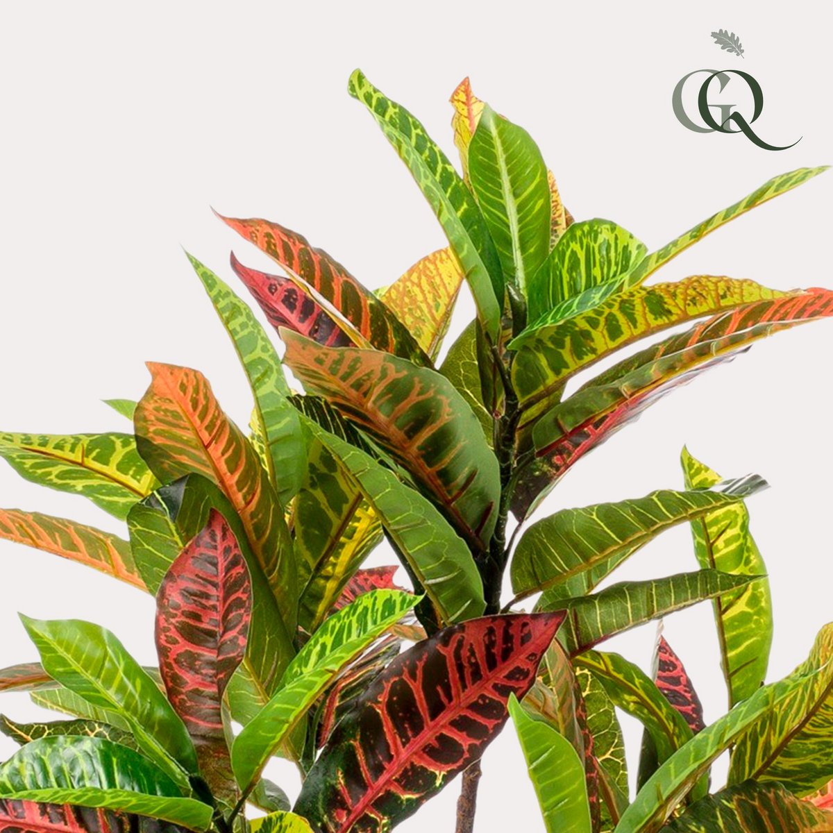 Künstliche Pflanze - Croton Codiaeum - Wonderbush - 95 cm