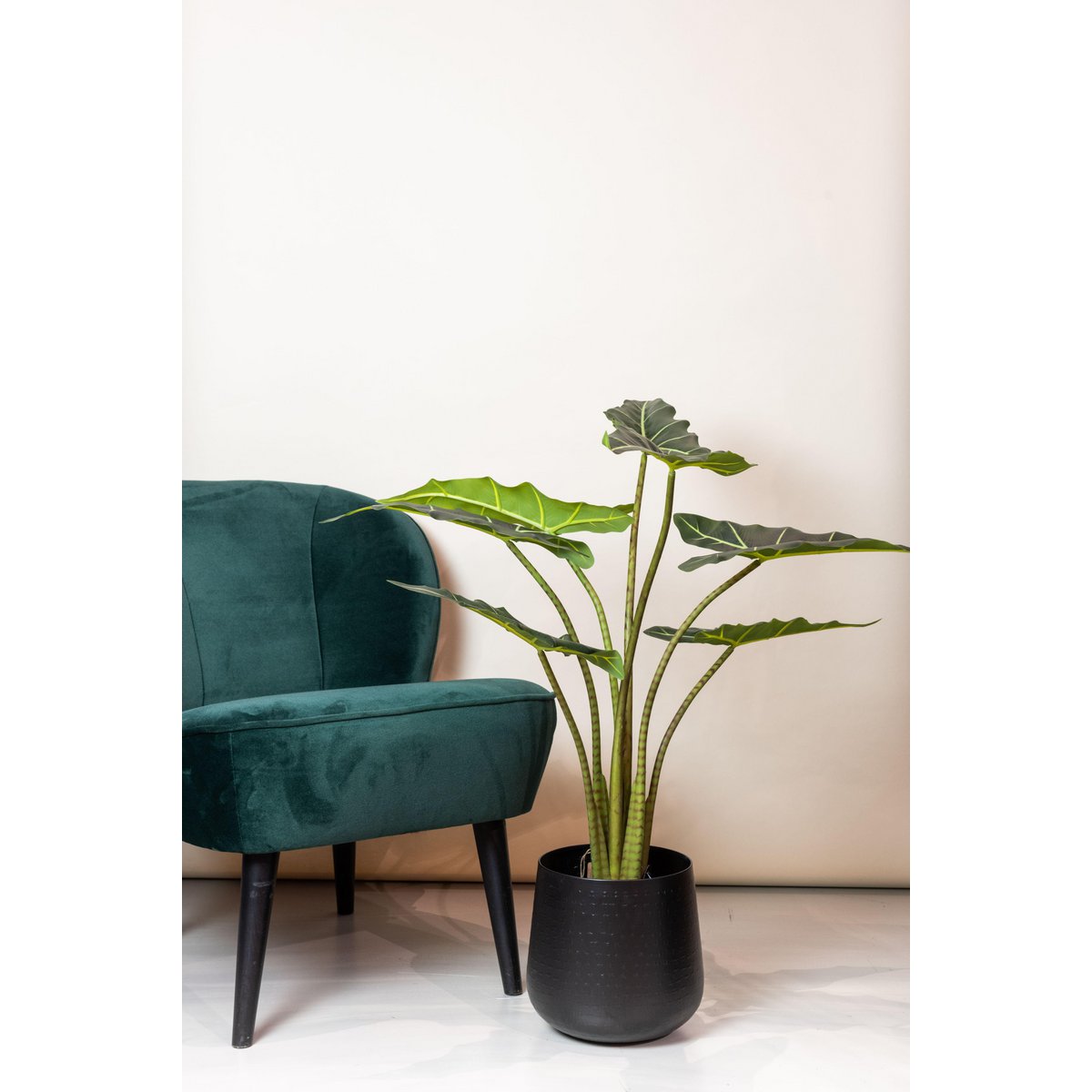 Künstliche Pflanze - Alocasia Frydek - Elefantenohr - 100 cm