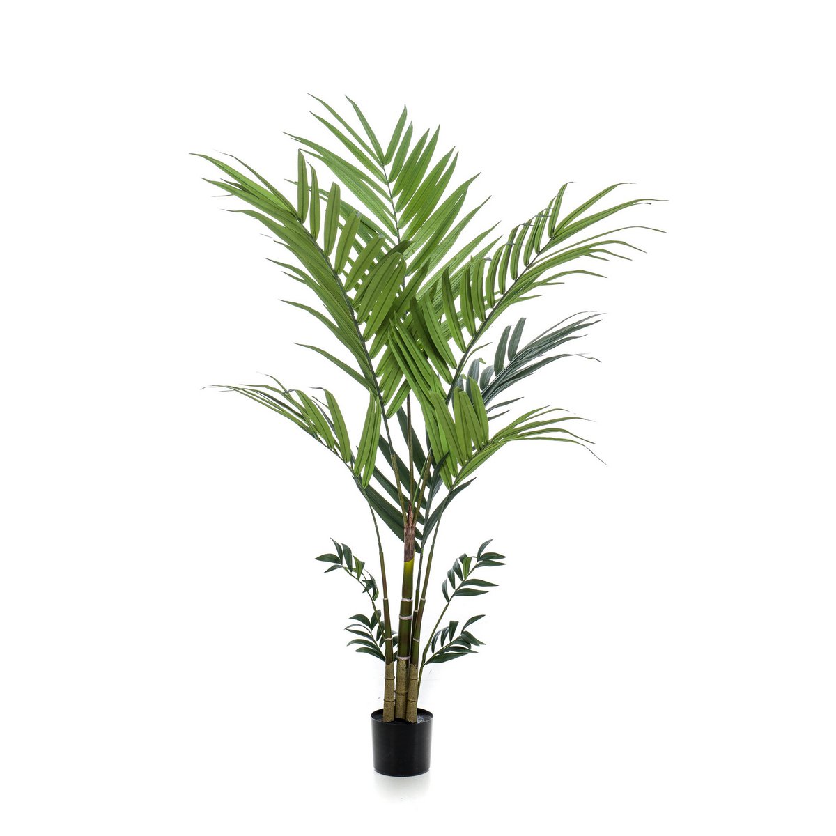 Kunstpflanze - Kentia -Kentiapalm - 180 cm