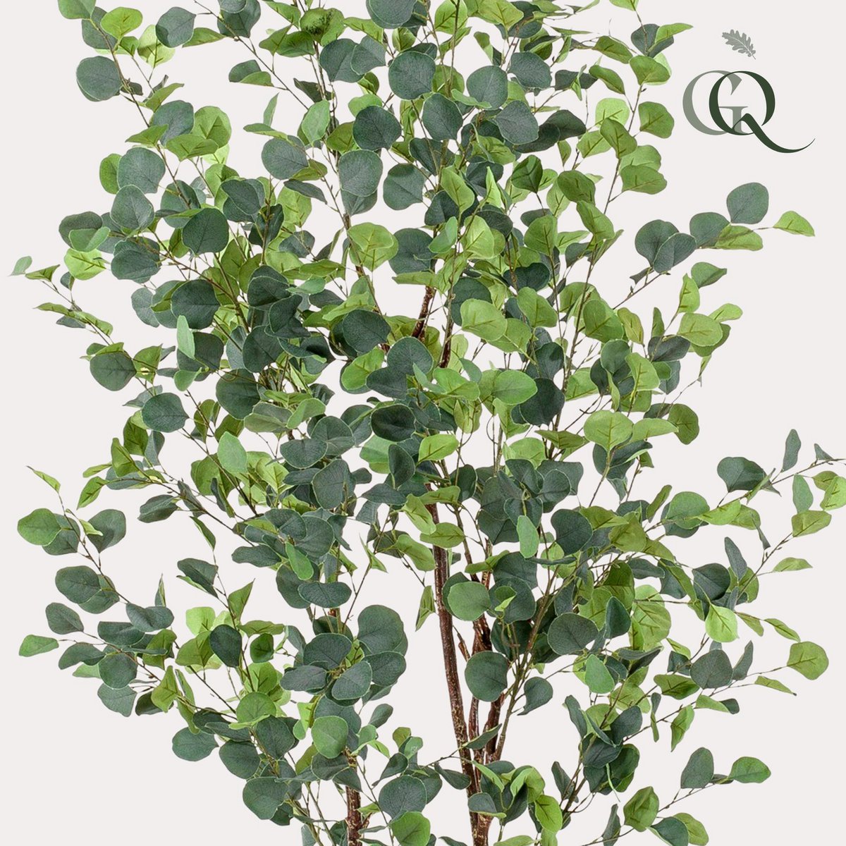 Künstliche Pflanze - Eukalyptus - Blue Gum Tree - 180 cm