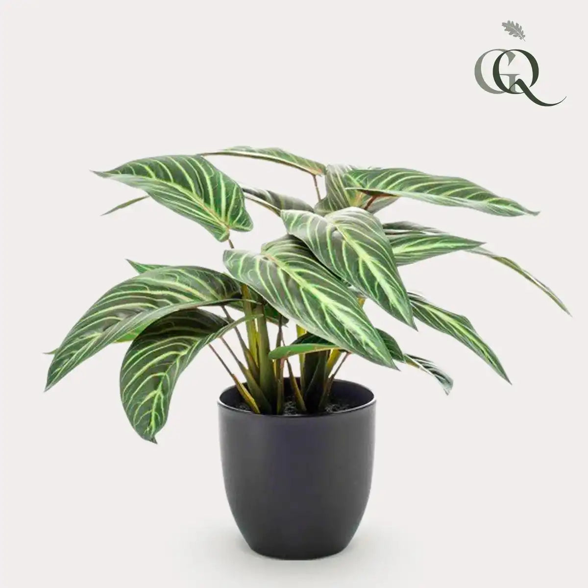 Kunstpflanze - Calathea Zebrina - Schattenpflanze - 38 cm