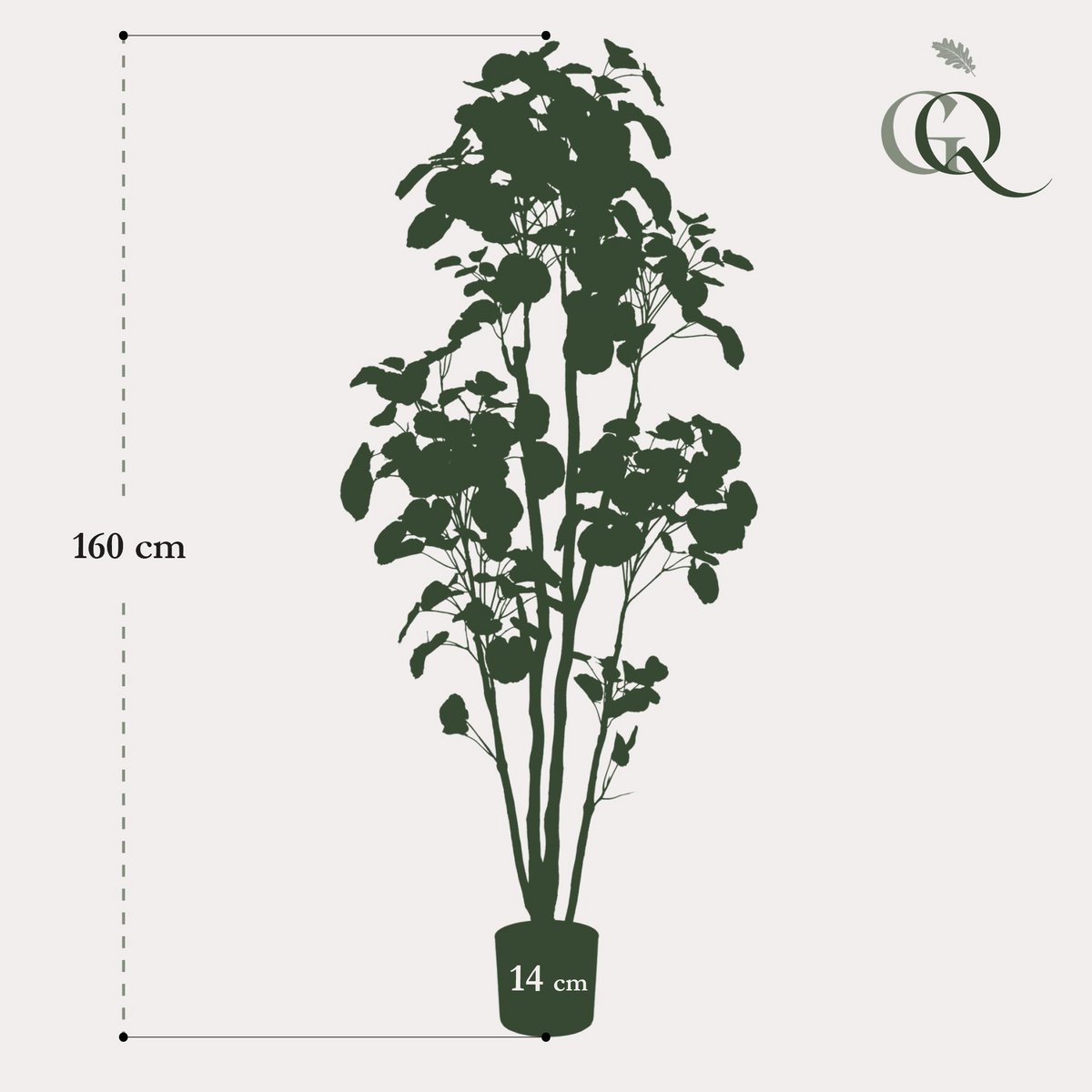Kunstpflanze - POLYSCIAS 160 cm