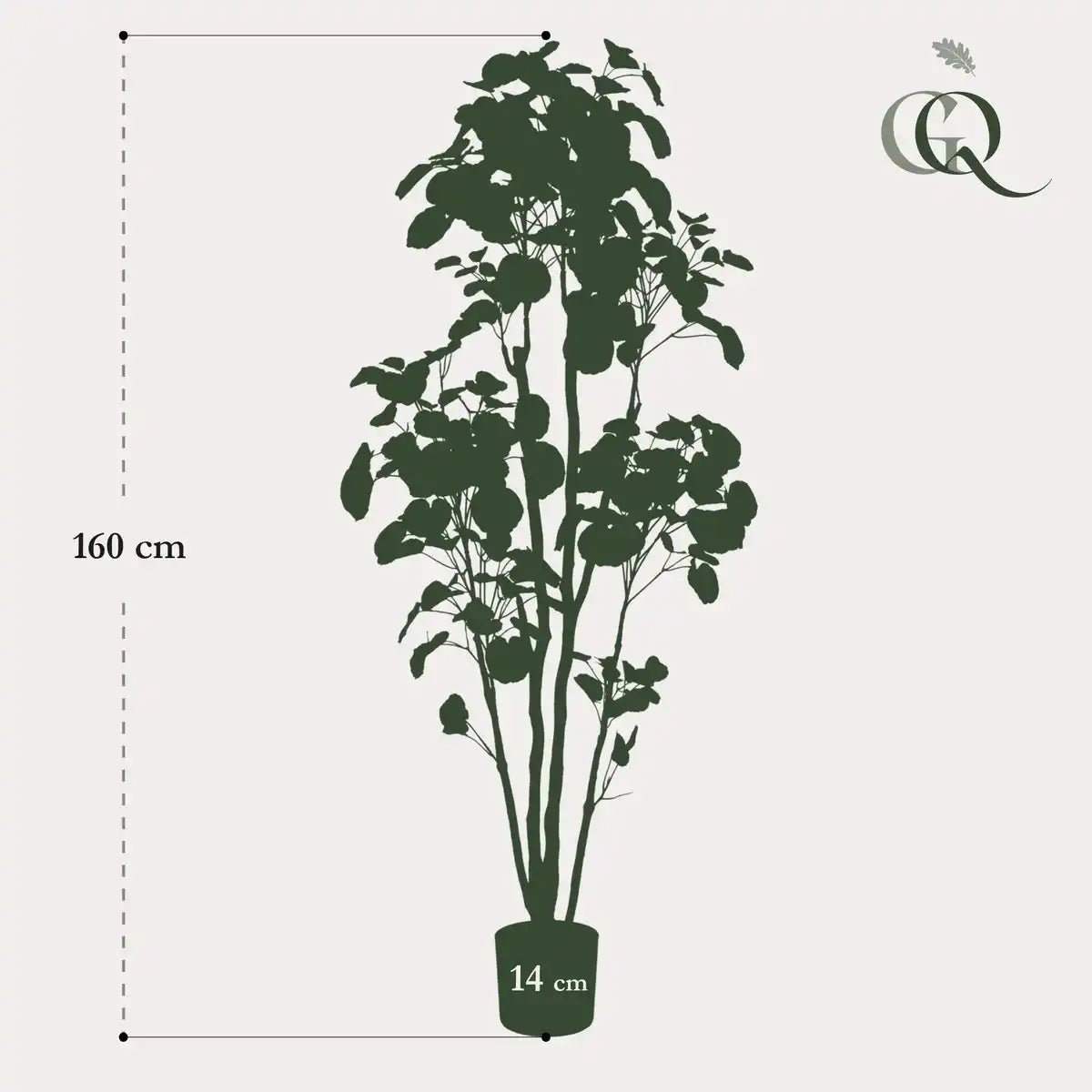 Kunstpflanze - POLYSCIAS 160 cm