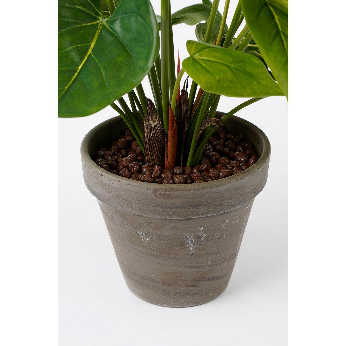Künstliche Anthuriumpflanze im Blumentopf Stan - H38 x Ø30 cm - Rot