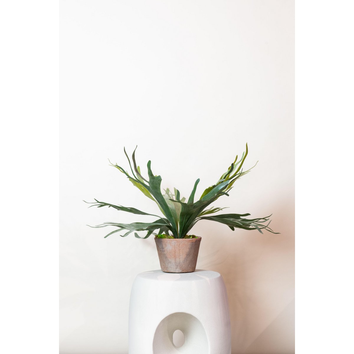 Kunstpflanze - Staghorn Fern - Hertshoorn - 50 cm