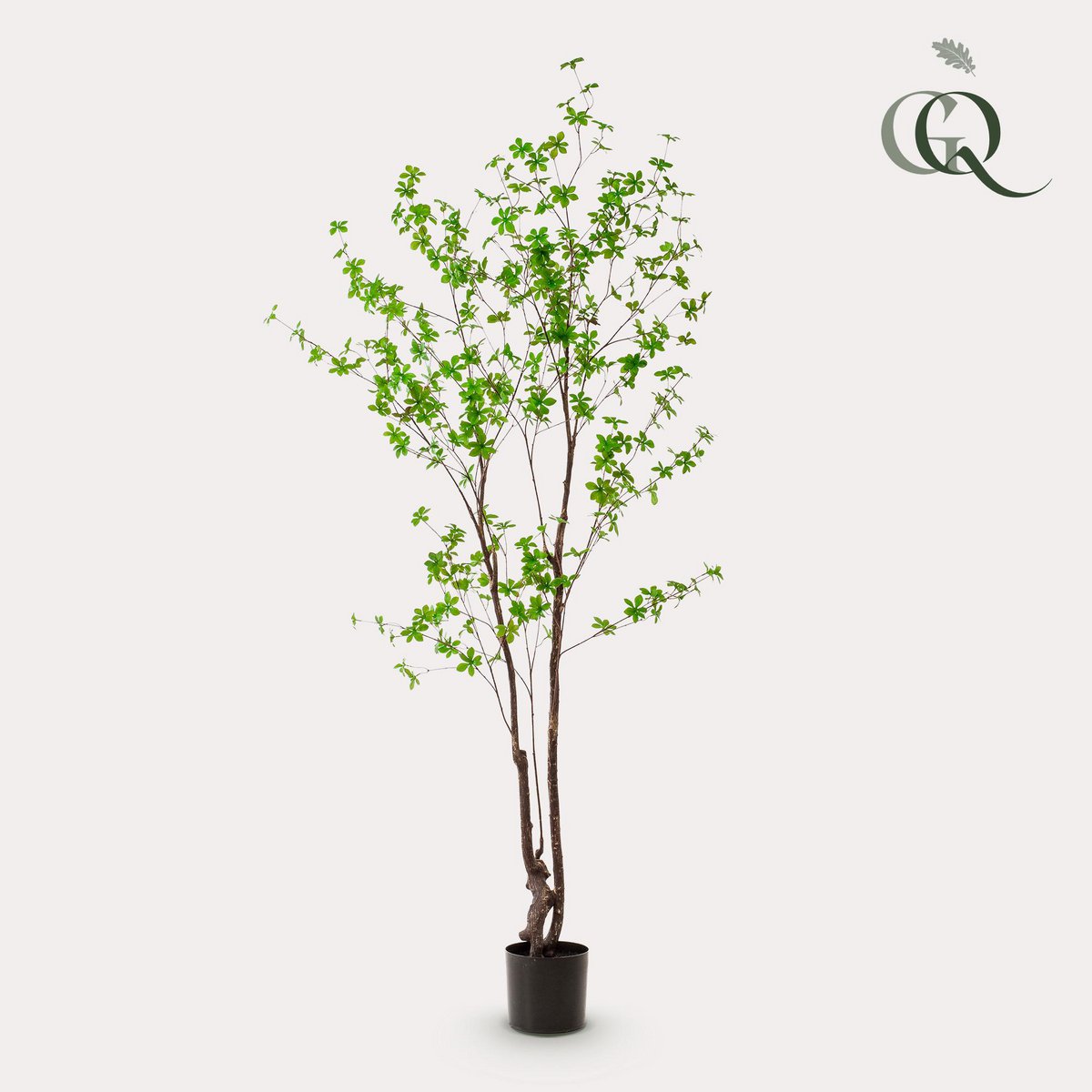 Kunstpflanze - Tropseolum - Oost Indistent - 210 cm