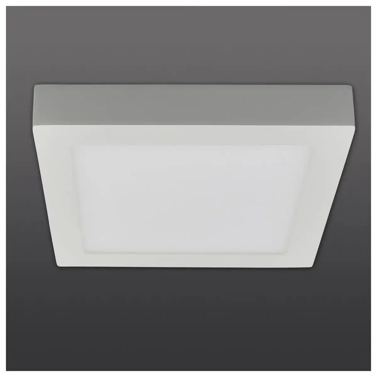 LED Deckenleuchte "Simplex" s: 22,5cm