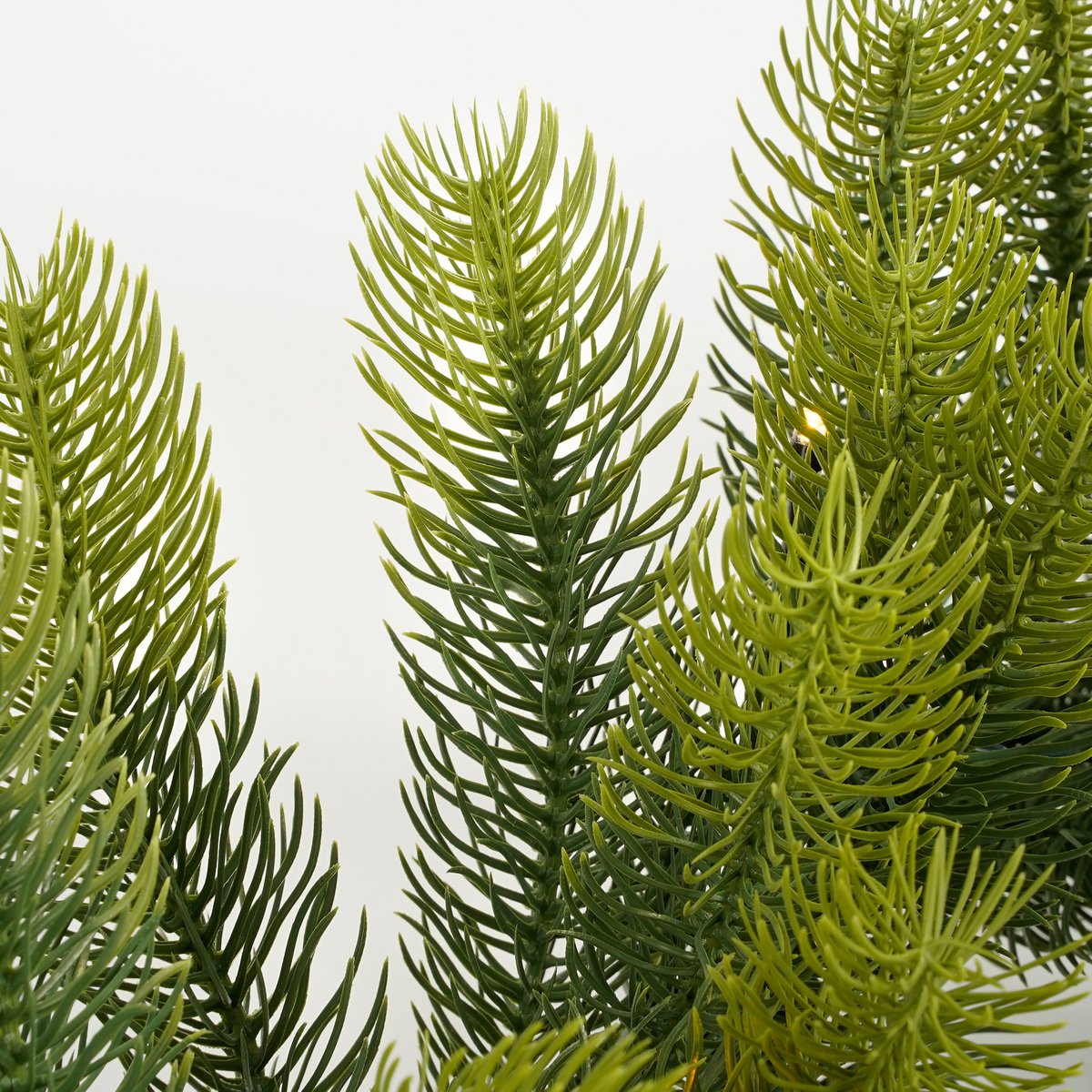 Girlande mit LED -Beleuchtung - L180 cm - Grün