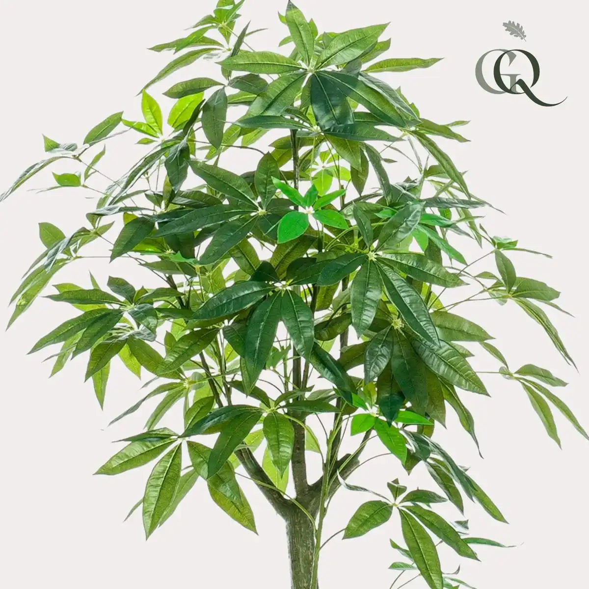 Künstliche Pflanze - Pachira aquatica - Geldboom - 150 cm