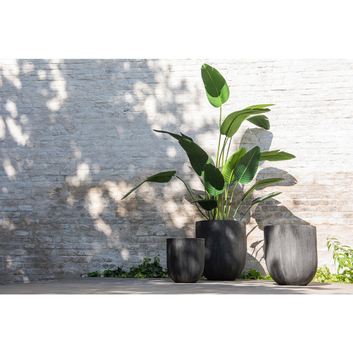 J-Line Strelitzia Plastic Green Medium