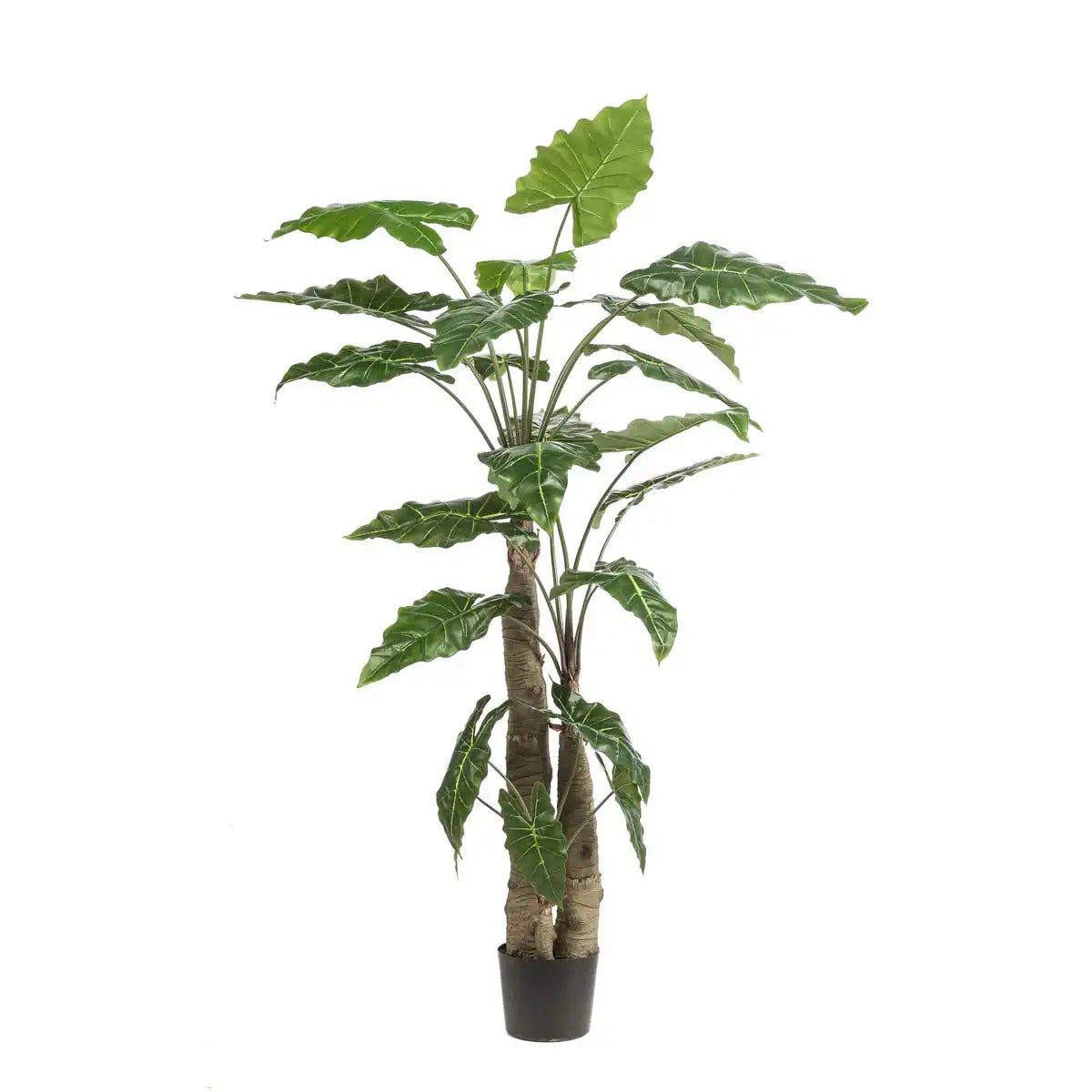 Kunstpflanze - Alokasie - Elefantenohr - 180 cm