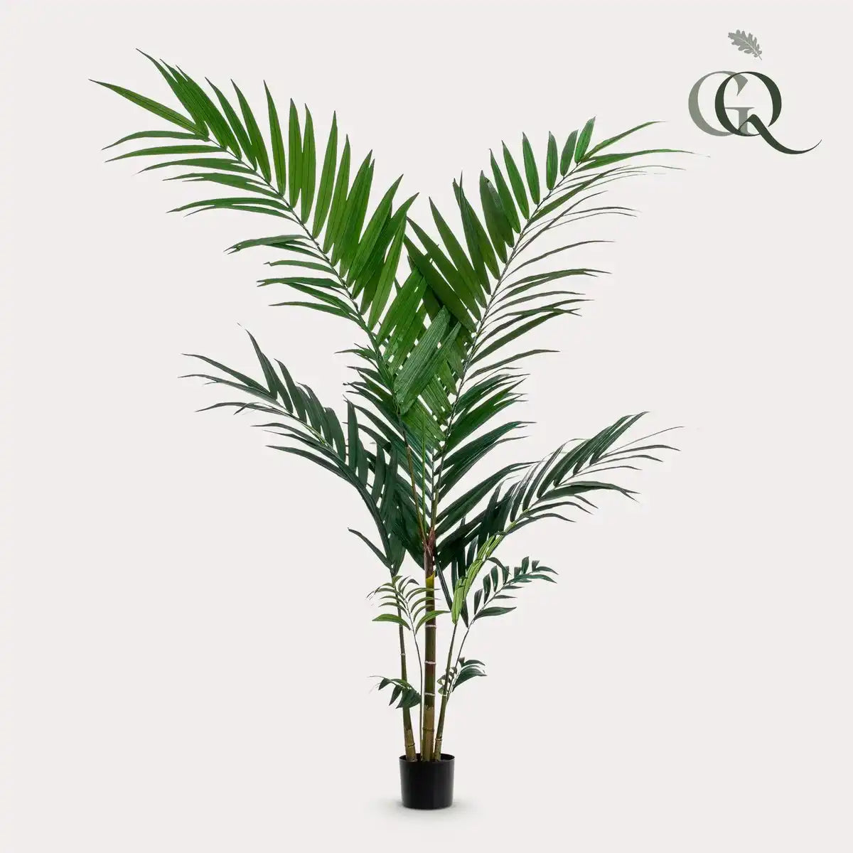 Kunstpflanze - Kentia -Kentiapalm - 150 cm