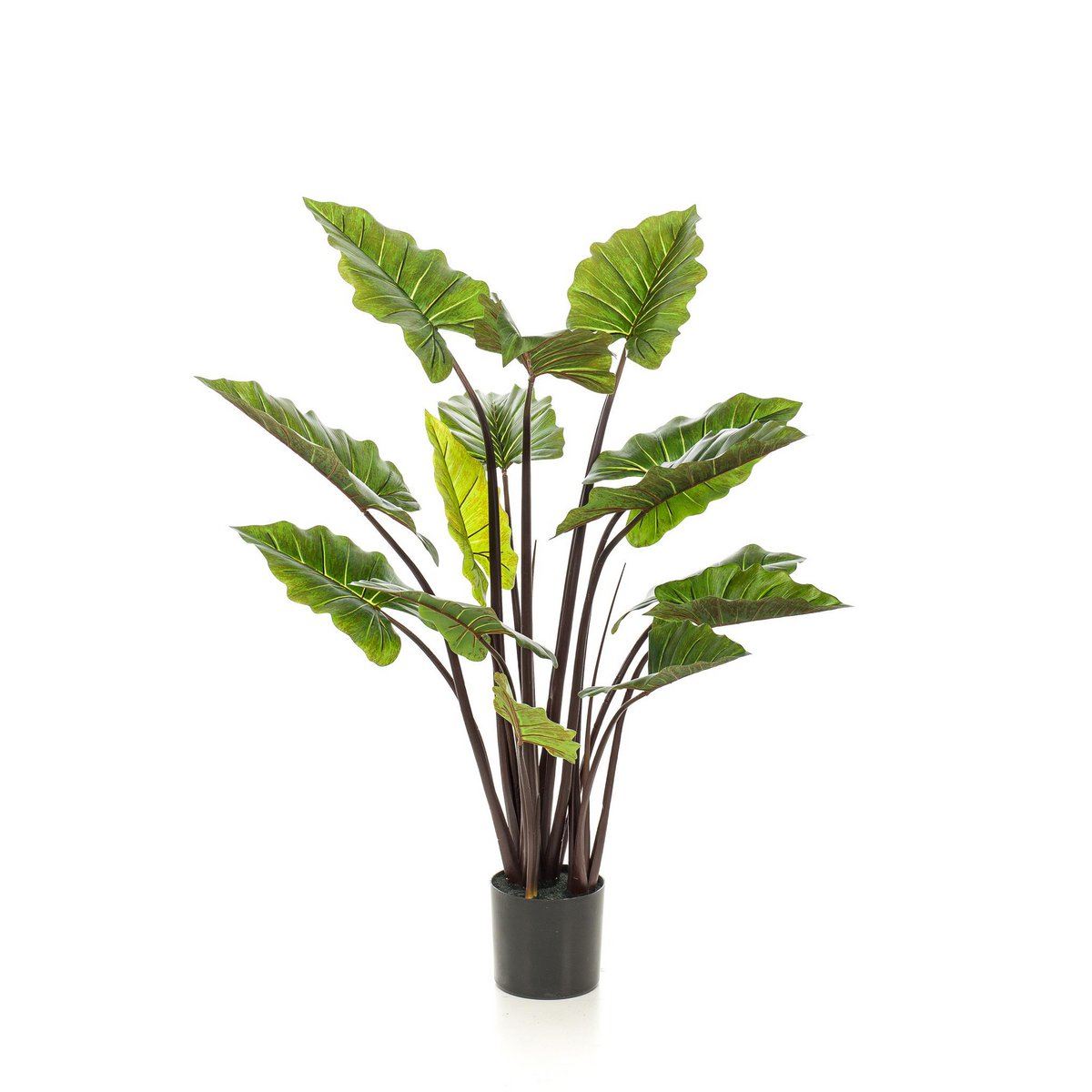Kunstpflanze - Colocasia Pink China - Elefantenohr - 130 cm