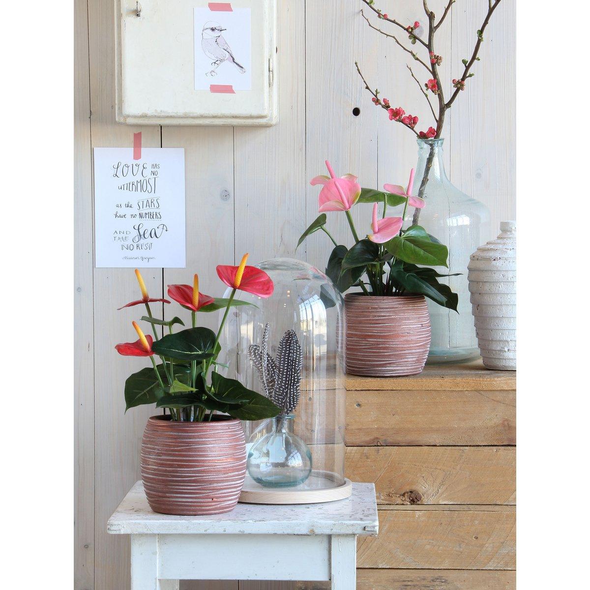 Künstliche Anthuriumpflanze im Blumentopf Stan - H38 x Ø30 cm - Rot