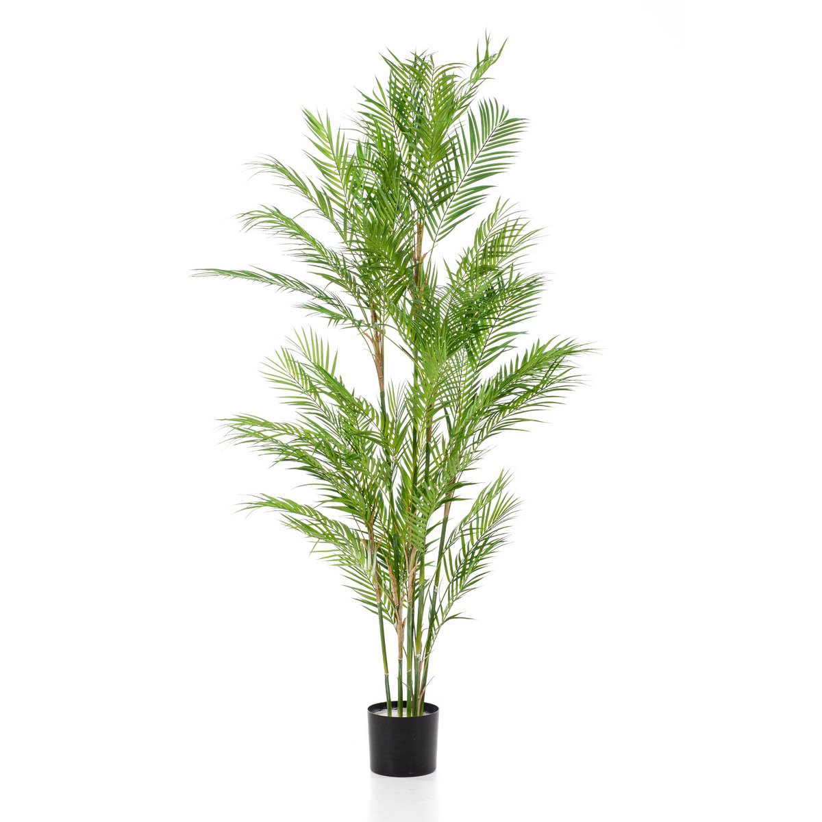 Künstliche Pflanze - Chamaedorea Elegans - Bergpalme - 180 cm