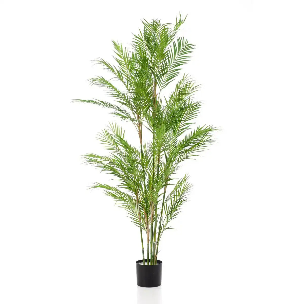 Künstliche Pflanze - Chamaedorea Elegans - Bergpalme - 180 cm