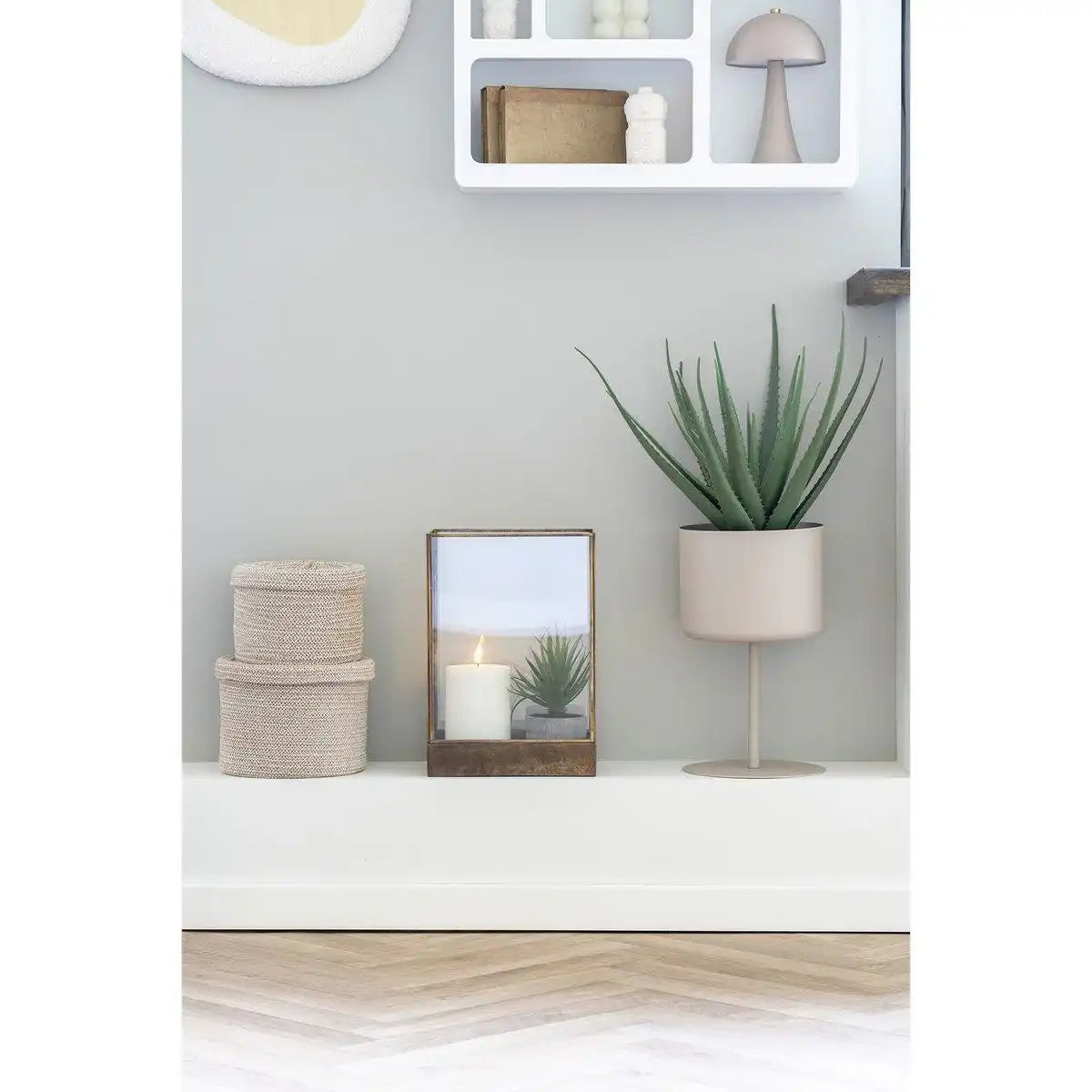 Aloe Vera - HomeDesign Knaus