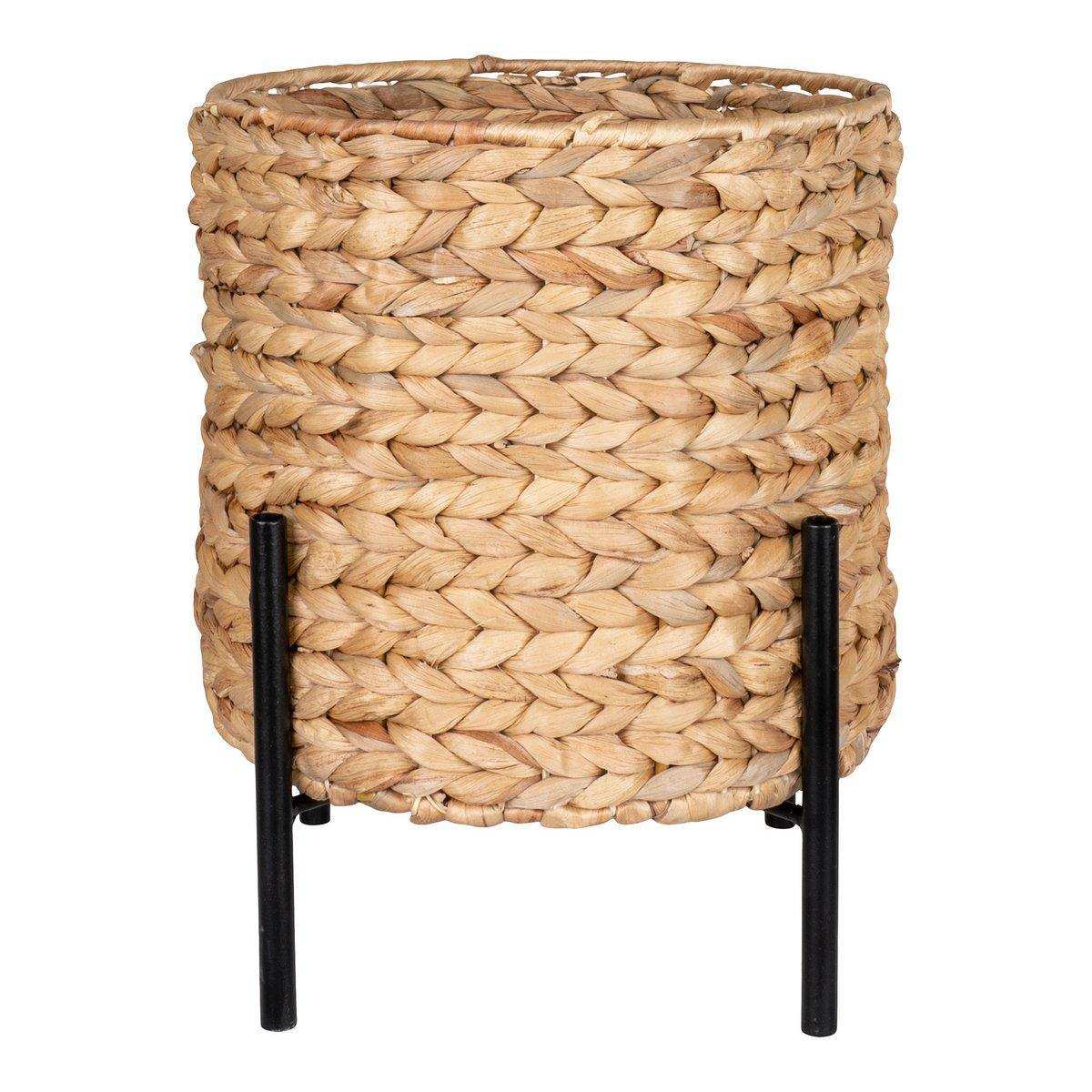 Antas Pflanzer - HomeDesign Knaus