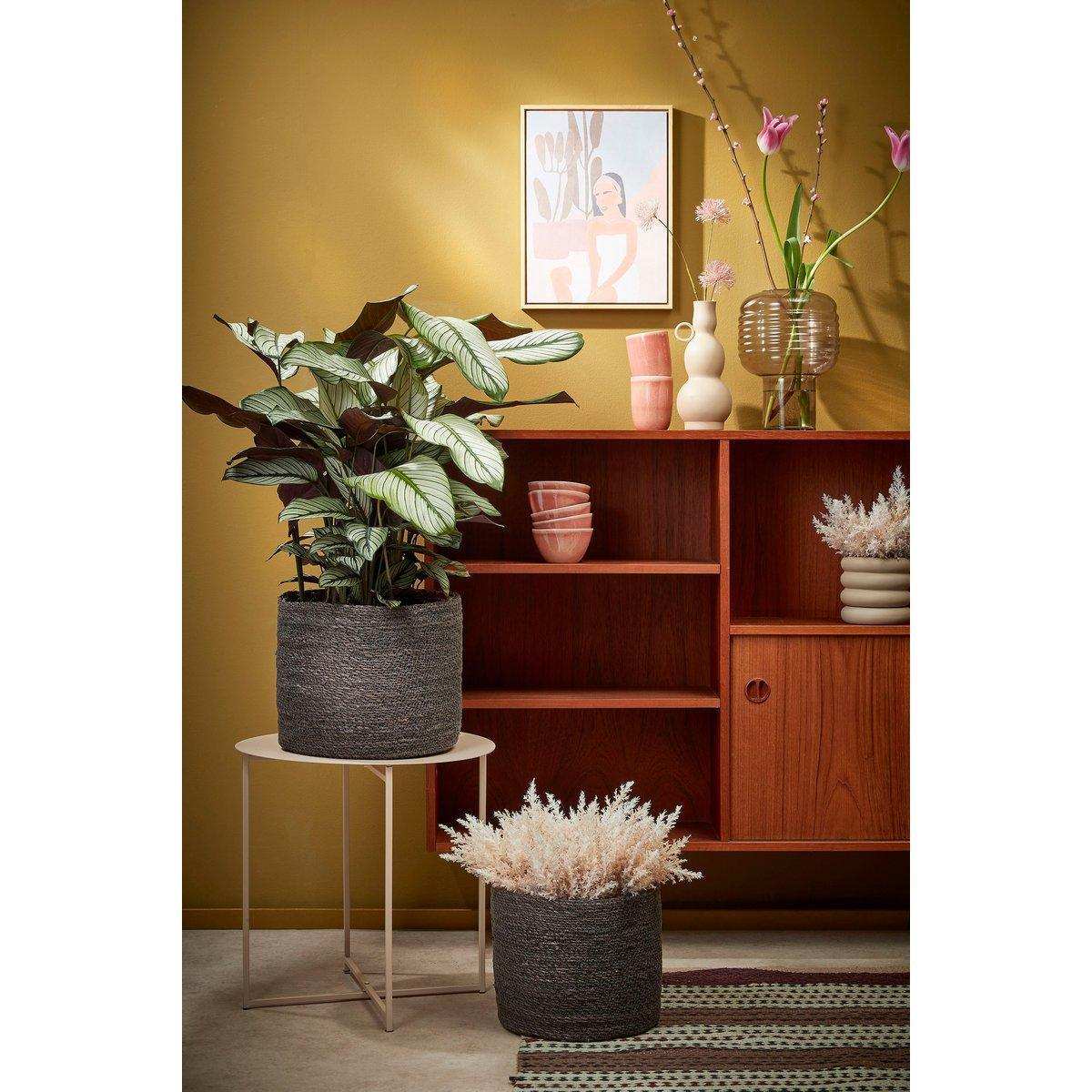 Atlantic Pflanzkorb – 3er-Set – H16 x Ø16 cm – Seegras – Grau - HomeDesign Knaus