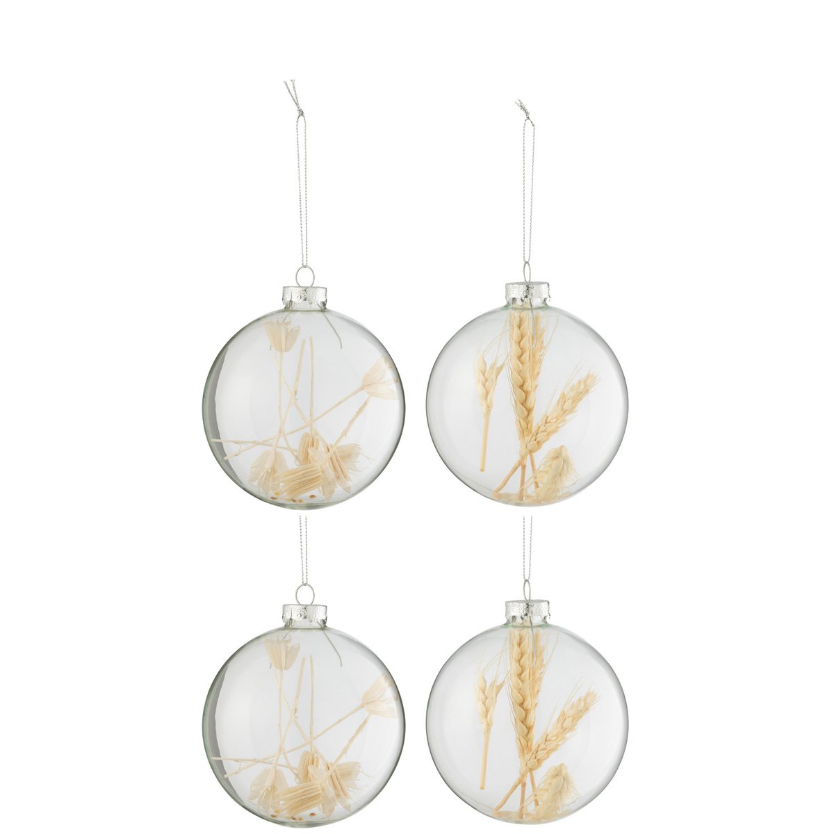 J-Line Box mit 4 Weihnachtskugeln, 2+2 getrocknete Zweige, beige, Glas, transparent, groß