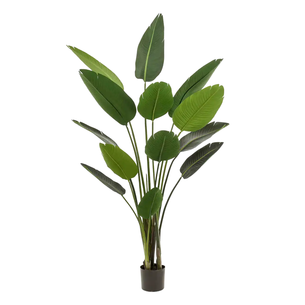 Künstliche Pflanze - Strelitzia Nicolai - Paradiesvogelblume - 190 cm