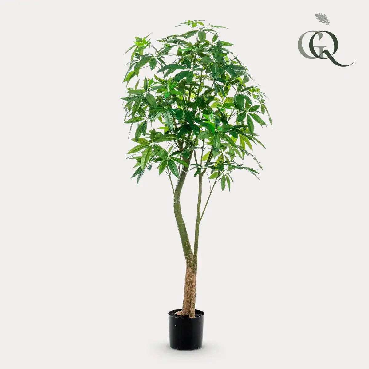 Künstliche Pflanze - Pachira aquatica - Geldboom - 180 cm