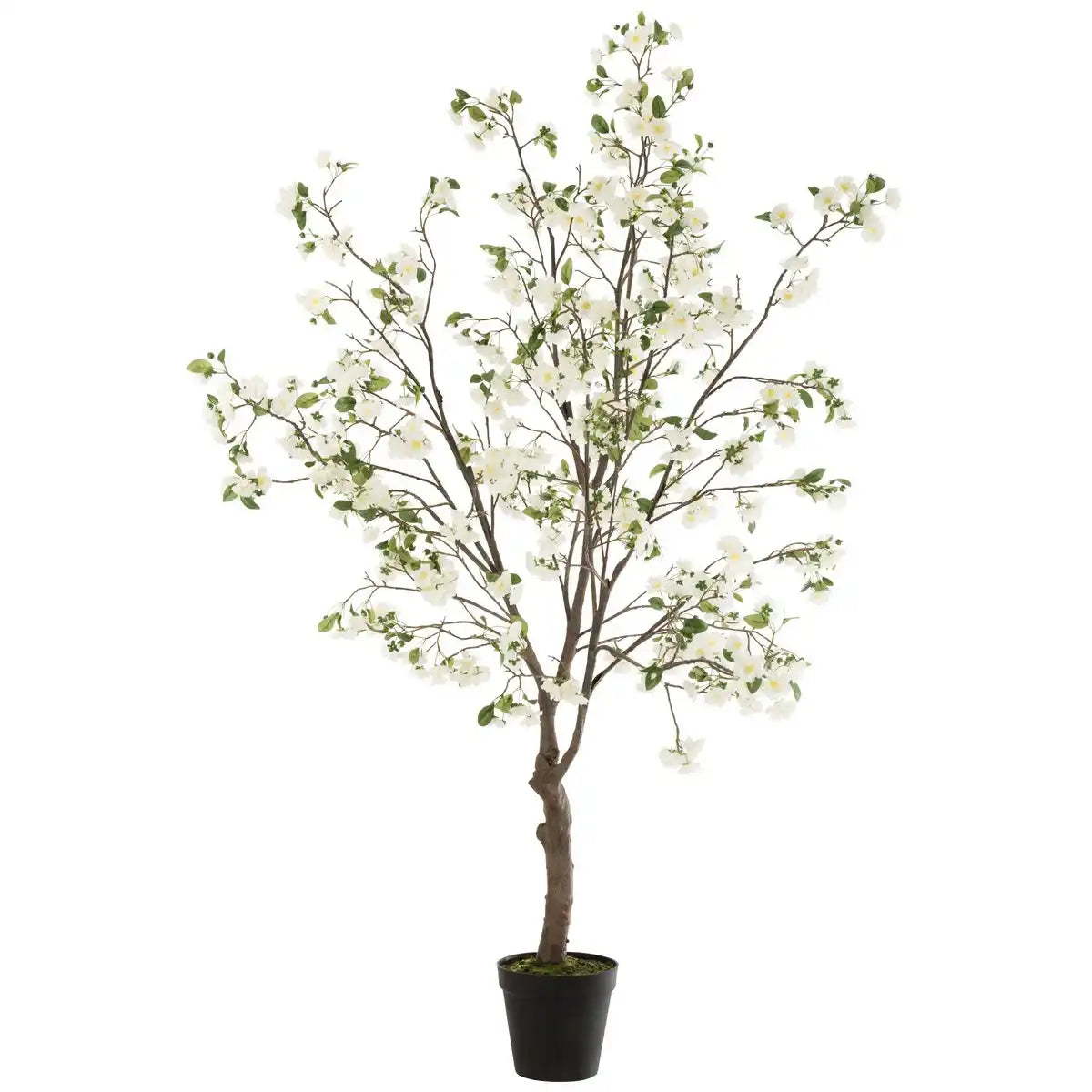 J-Line Blütenbaum, Kunststoff, weiß/braun, extra groß