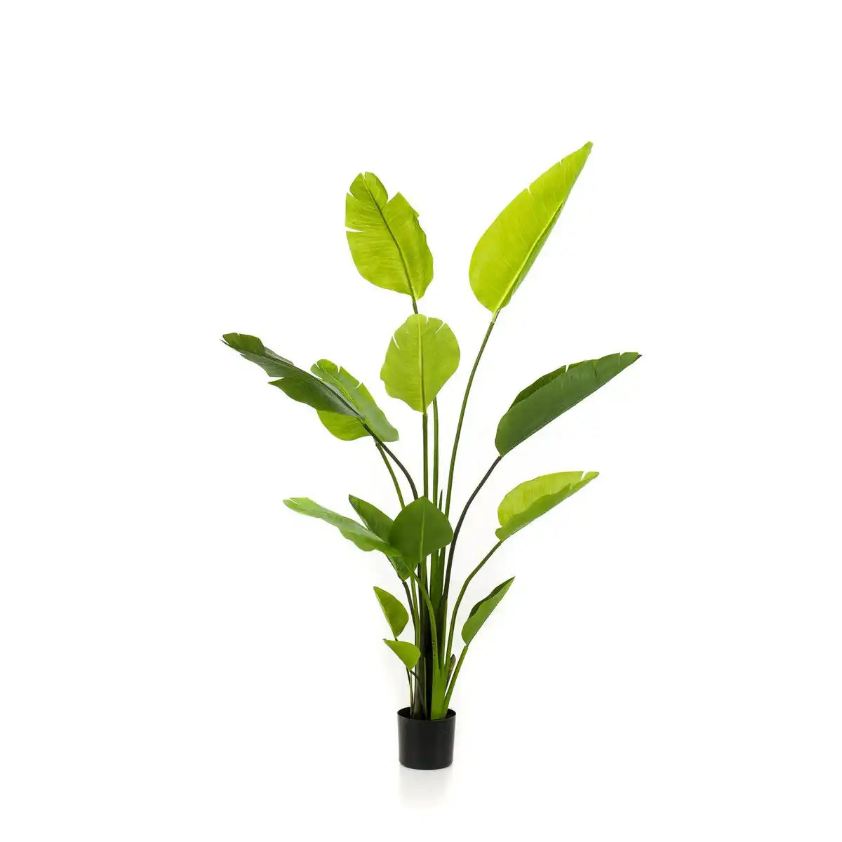 Kunstpflanze - Strelitzia Nicolai - Paradise Vogelblume - 150 cm