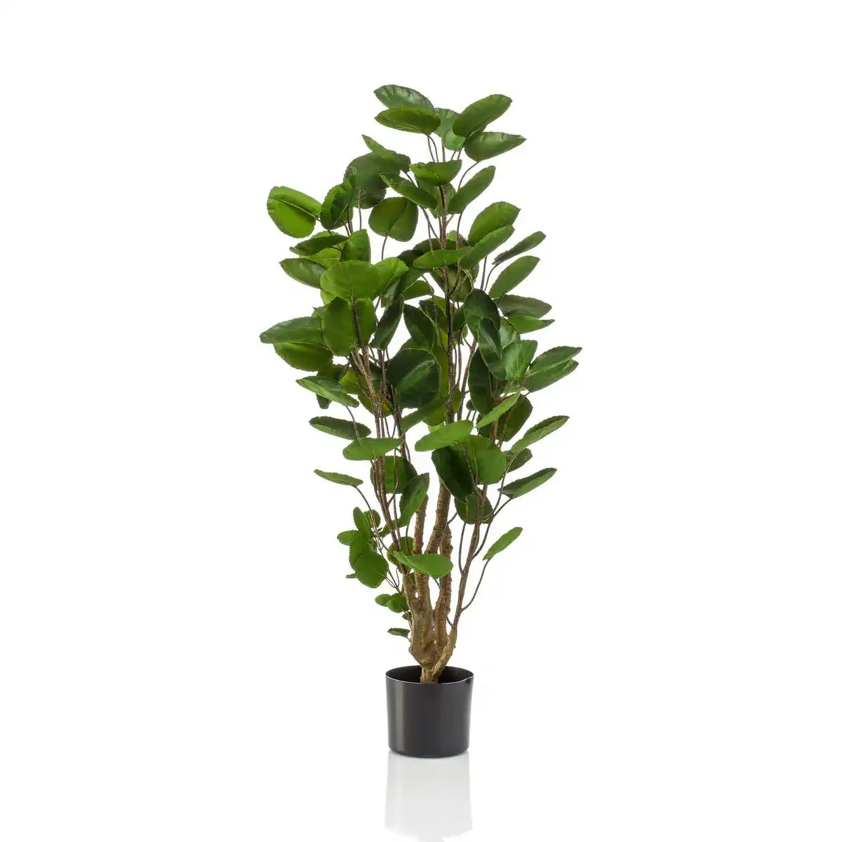 Kunstpflanze - POLYSCIAS - ARALIA - 105 cm