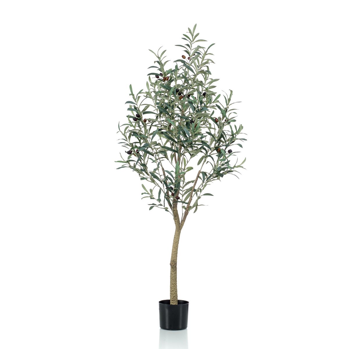 Art Olivenbaum - Olea Europaea - Olivenbaum - 140 cm