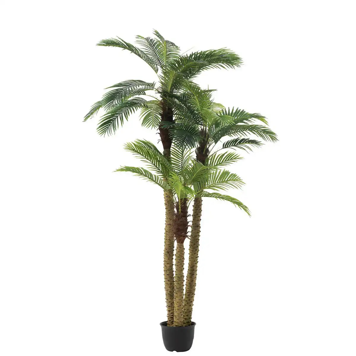 J-Line Palm Tree 3 Teile Real Touch im Topf Kunststoff grün