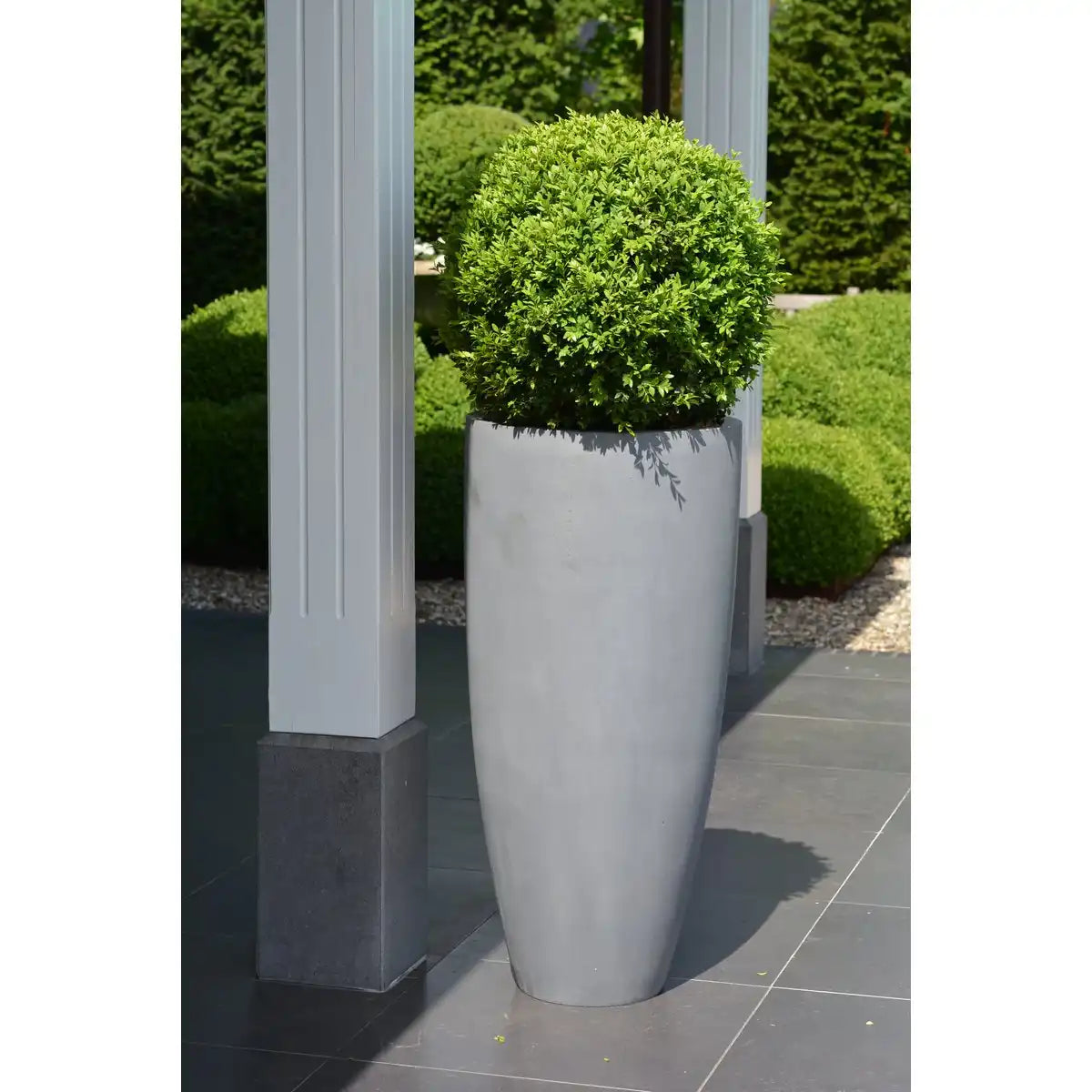 Blumentopf Kentucky – frostbeständig und perfekt für drinnen und draußen - HomeDesign Knaus