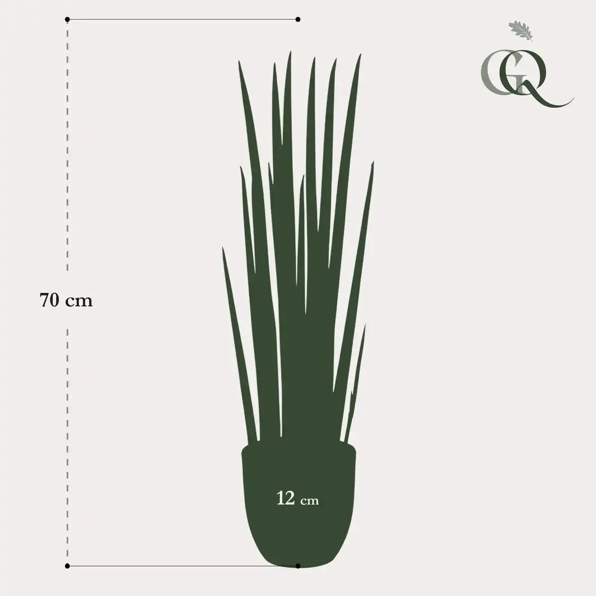Kunstpflanze - Sanseveria Cylindrica - Frau Zunge - 70 cm