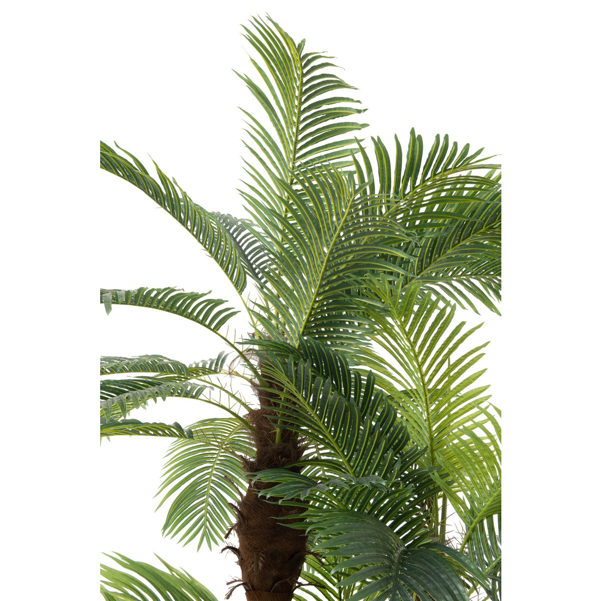 J-Line Palm Tree 3 Teile Real Touch im Topf Kunststoff grün