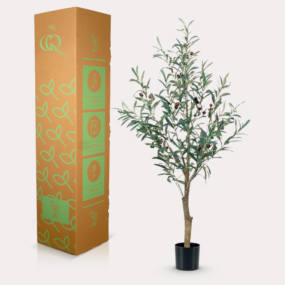 Art Olivenbaum - Olea Europaea - Olivenbaum - 115 cm