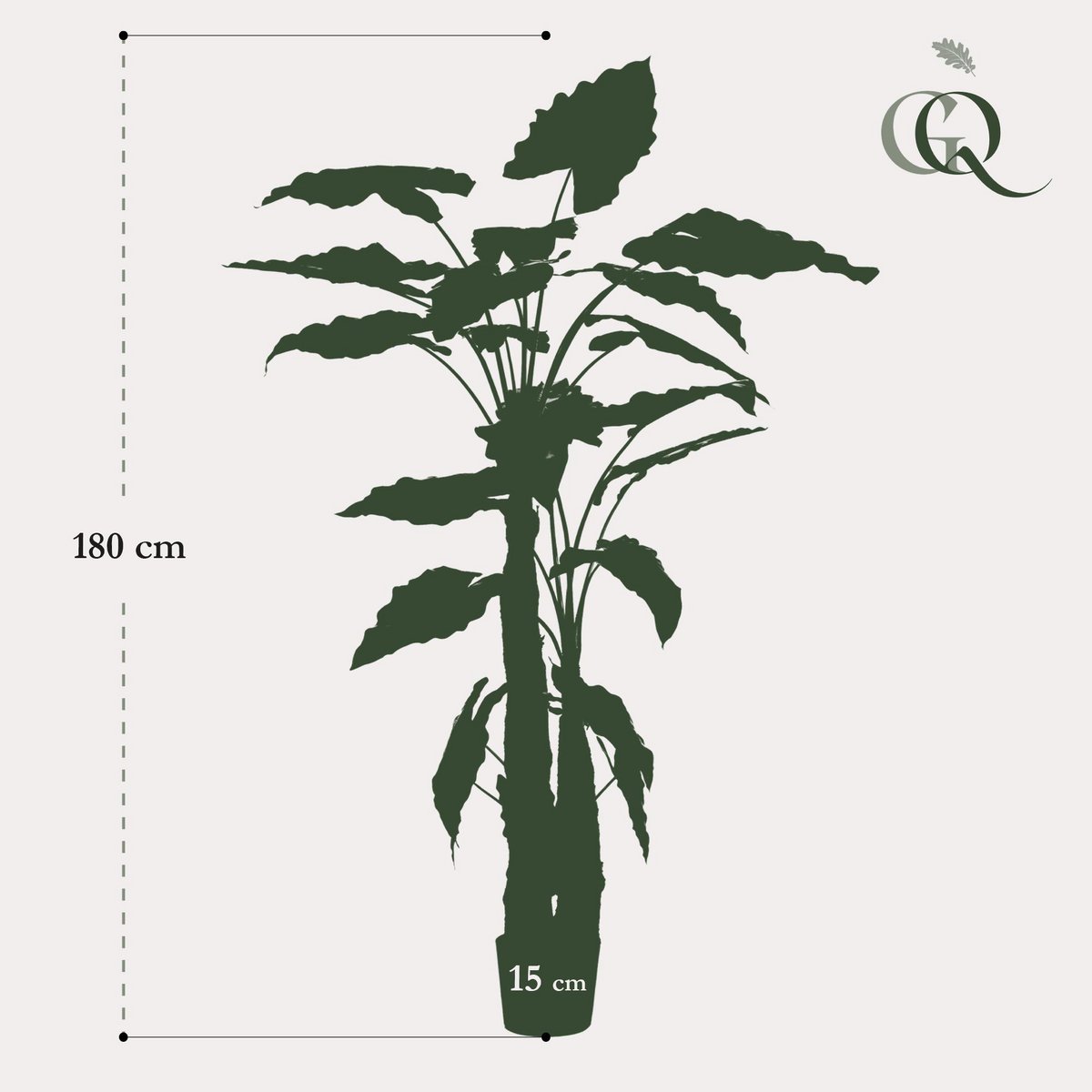 Kunstpflanze - Alokasie - Elefantenohr - 180 cm