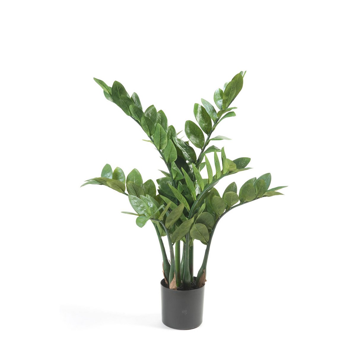 Künstliche Pflanze - Zamioculcas - Stadtpalme - 70 cm