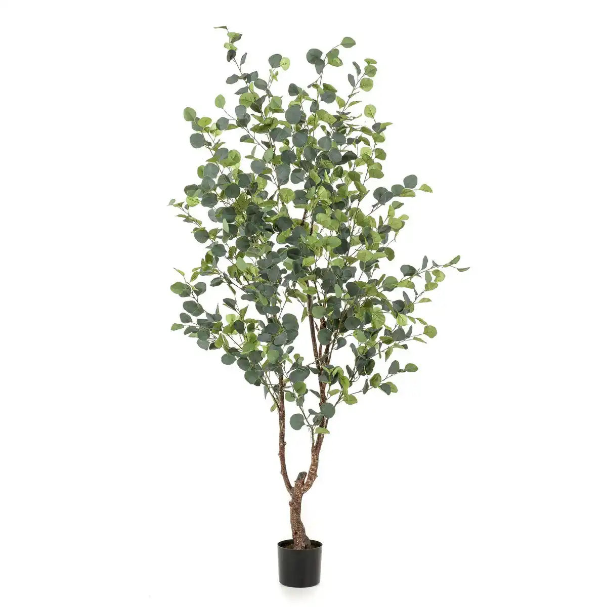 Künstliche Pflanze - Eukalyptus - Blue Gum Tree - 180 cm