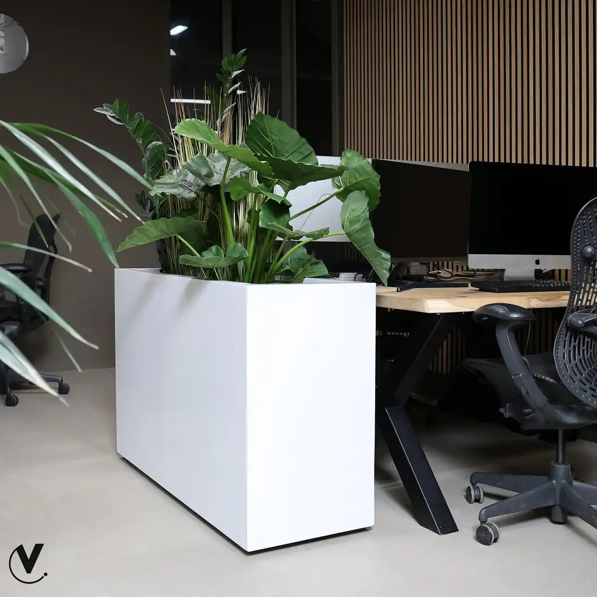 Chicago Pflanzkübel Weiß – mit Rollen, handgefertigt für Innen & Außen - HomeDesign Knaus