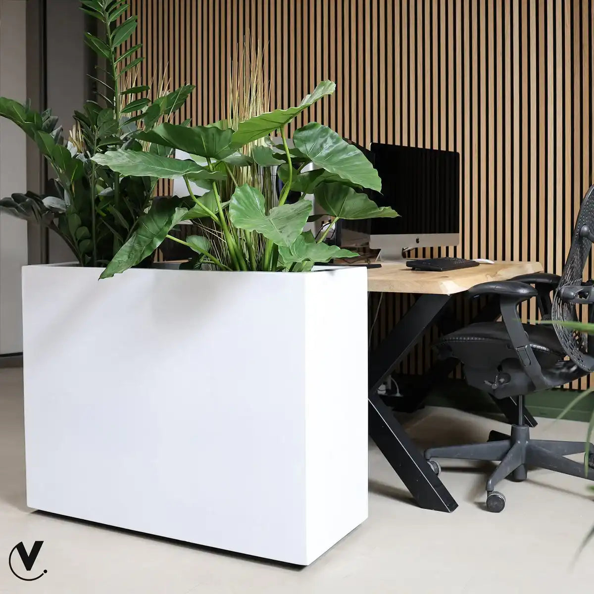 Chicago Pflanzkübel Weiß – mit Rollen, handgefertigt für Innen & Außen - HomeDesign Knaus