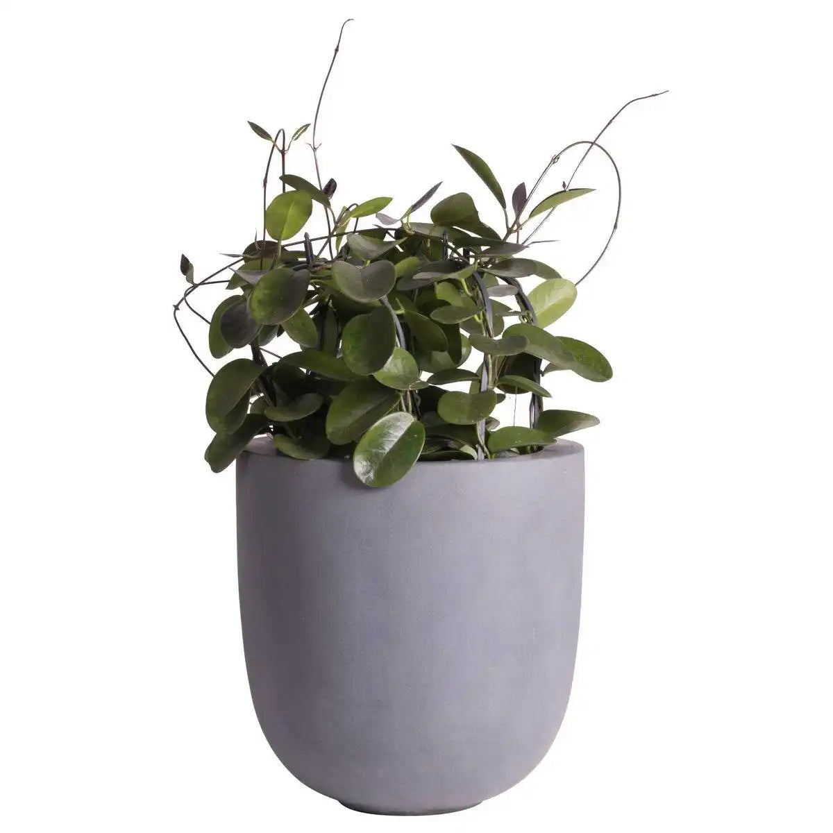 Ducos groß grau Ø33 x H35 cm
