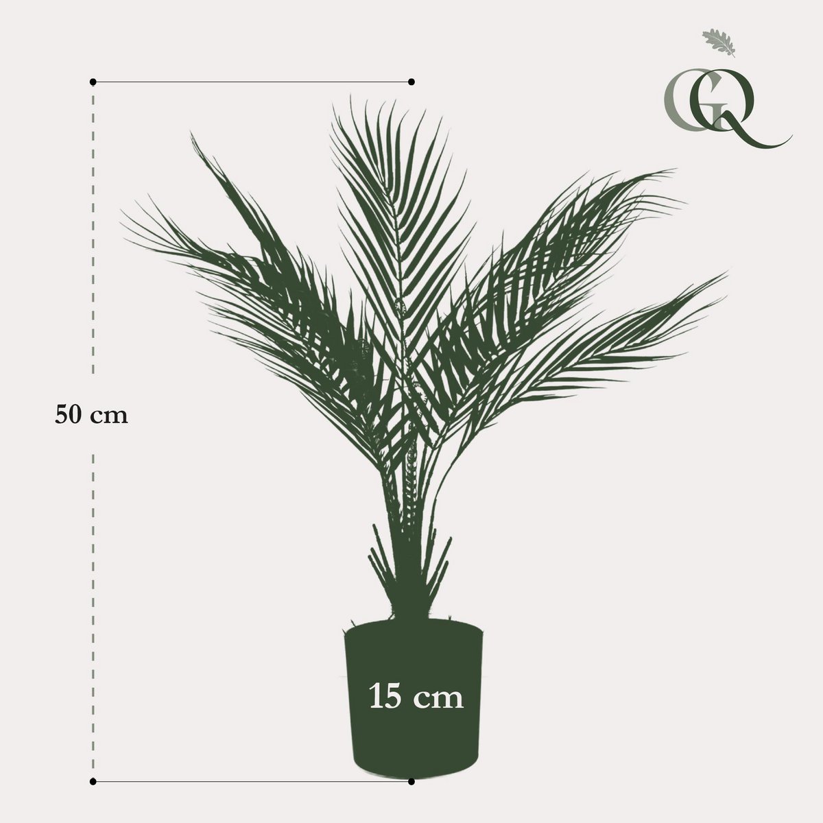 Kunstpflanze - Chamaedorea - Bergpalm - 50 cm