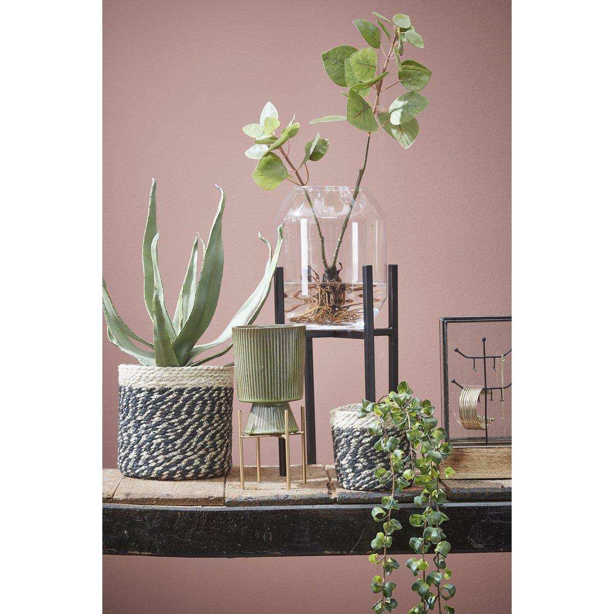 Dali Vase - H33 x Ø25 cm - Transparent - HomeDesign Knaus