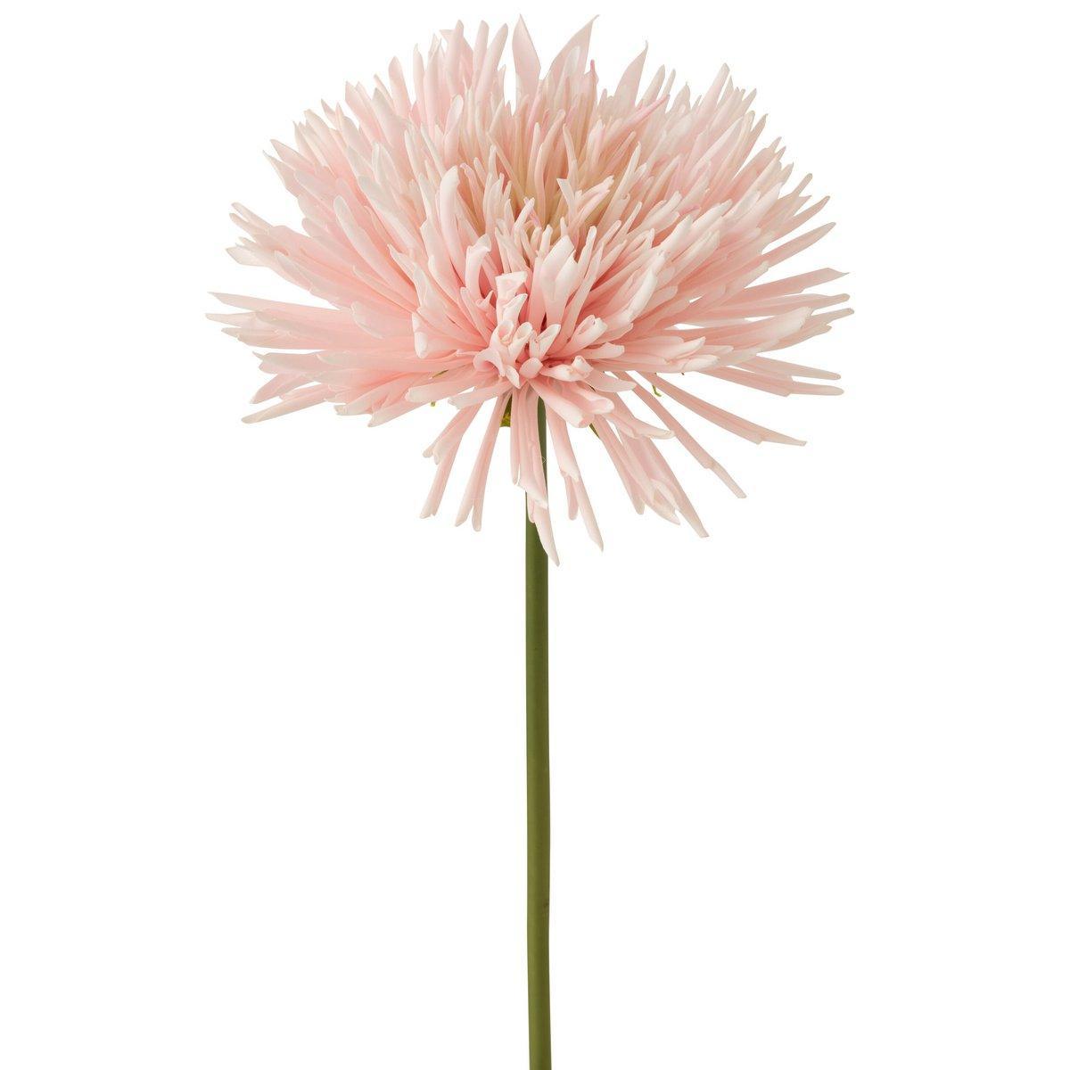 J-Line Chrysantheme Kunststoff Weiß Hellrosa