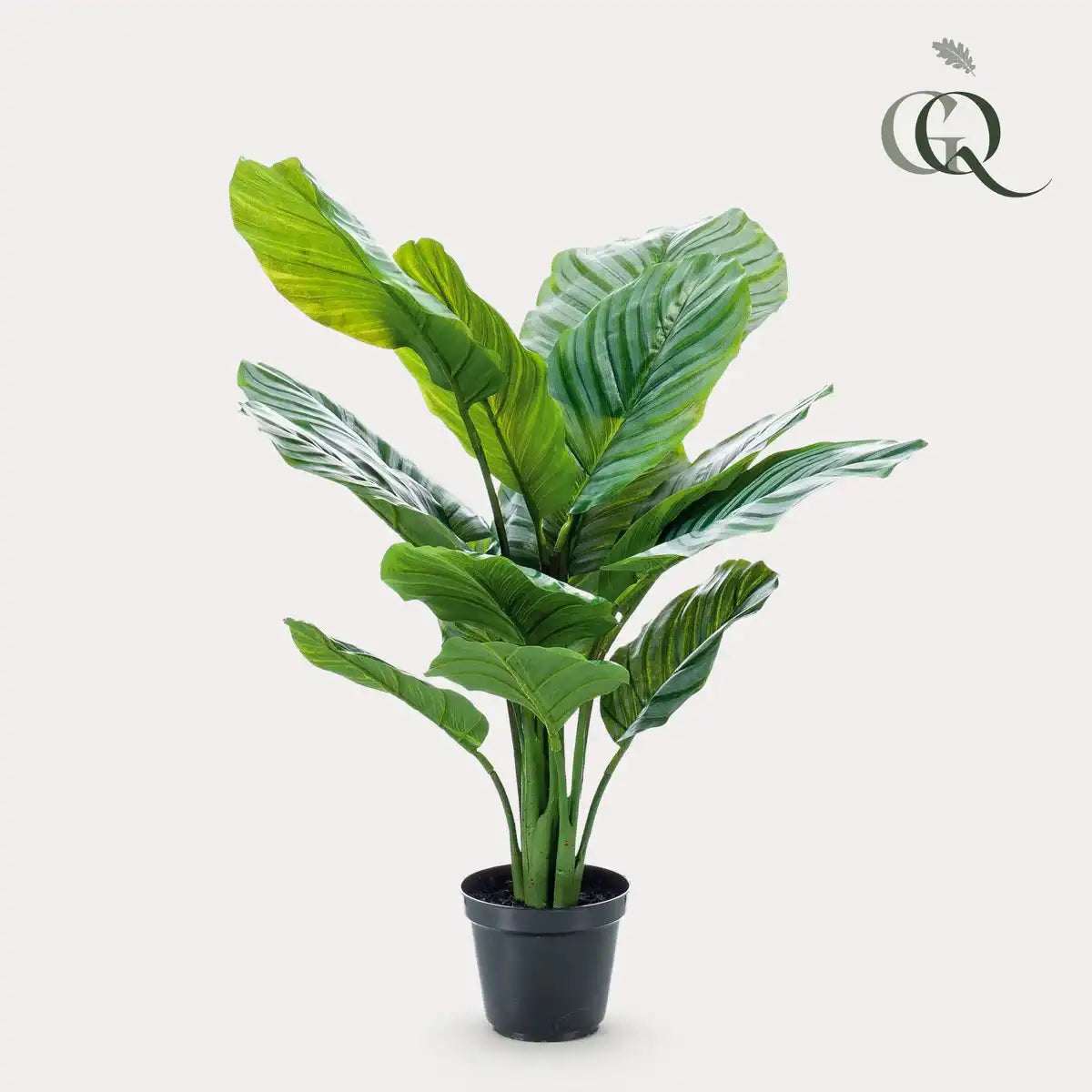 Kunstpflanze - Calathea Orbifolia - Schattenpflanze - 60 cm