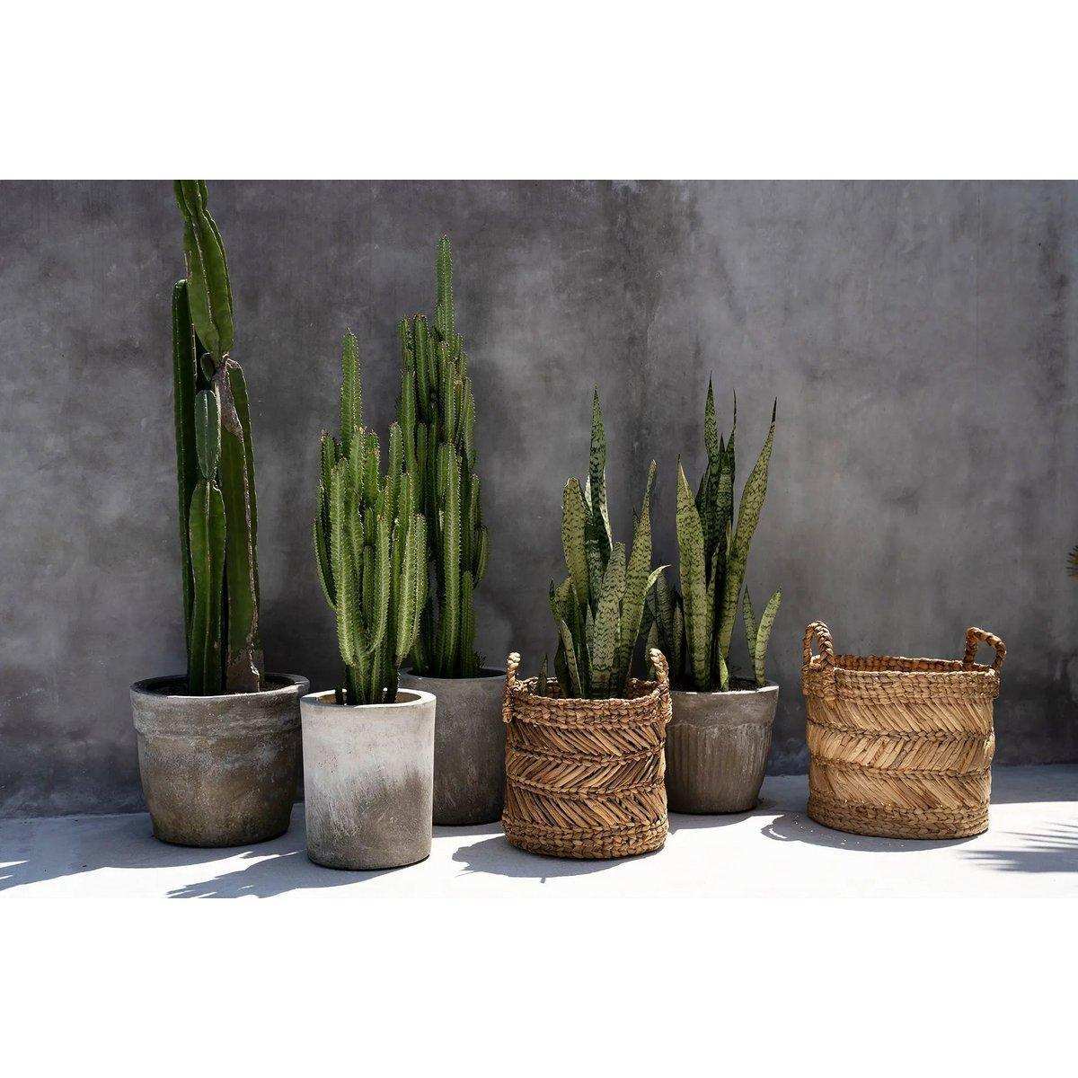 Der Bananen-Zickzack-Korb Aufbewahrungskorb 40 cm - HomeDesign Knaus