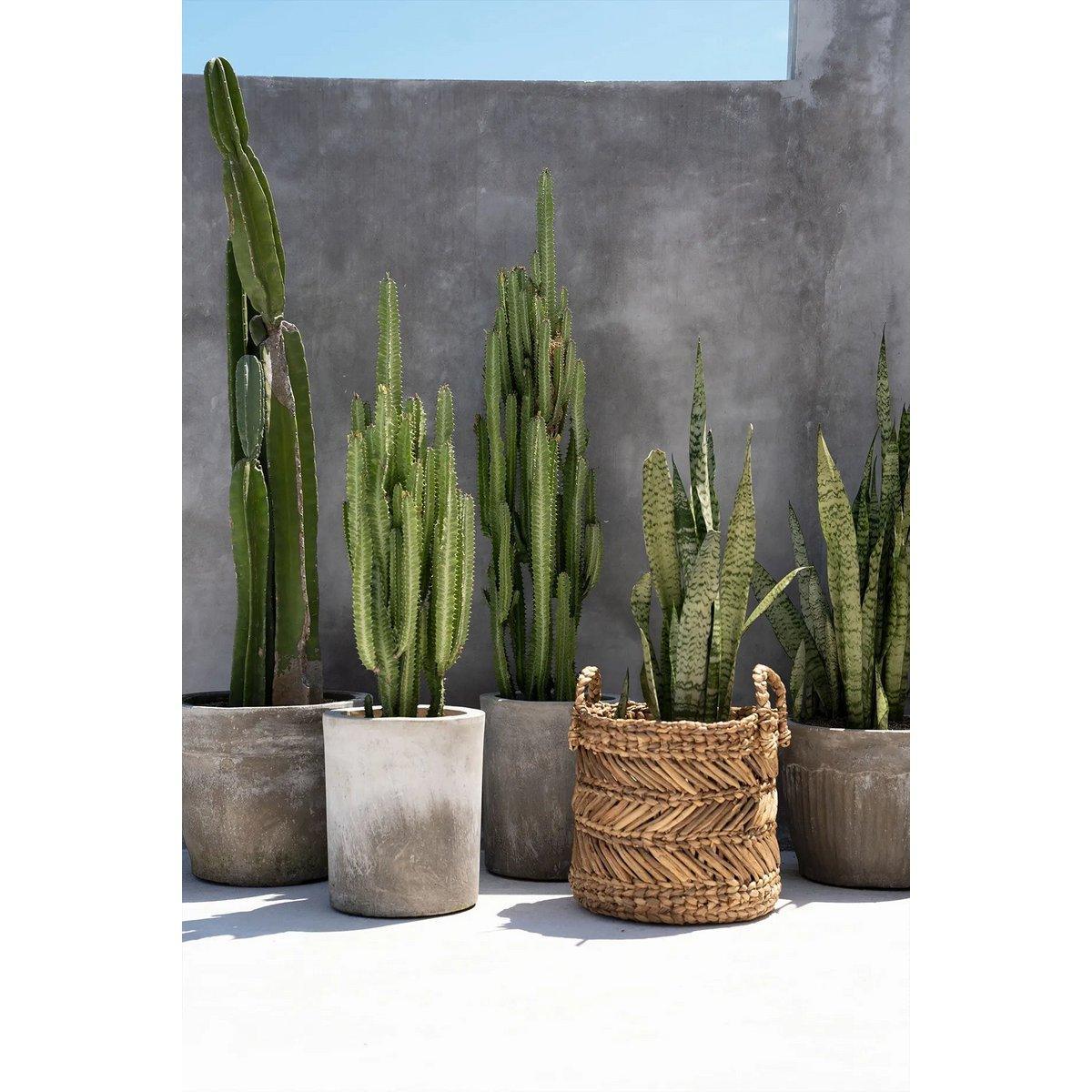 Der Bananen-Zickzack-Korb – L - HomeDesign Knaus