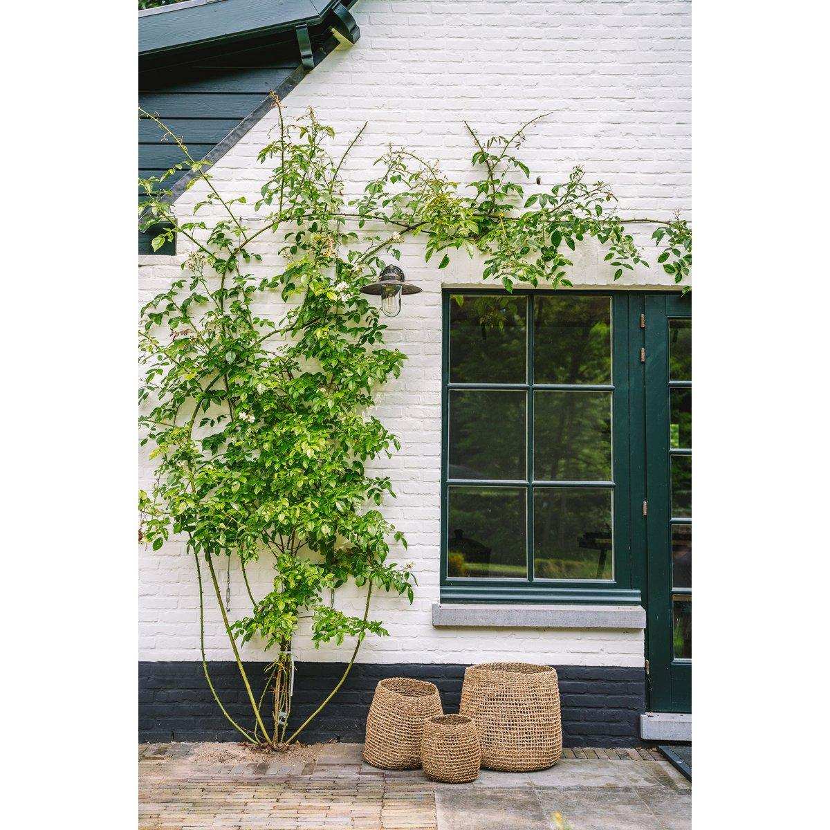 Der Lang Co Korb - Natur - M - HomeDesign Knaus