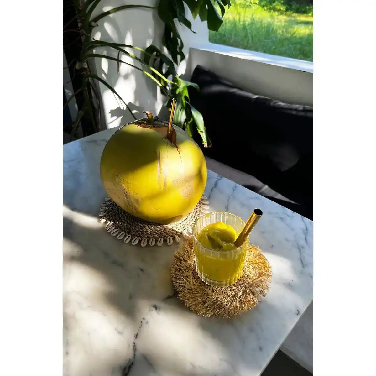 Der Seagrass Shell Pan Coaster - Natürlich - HomeDesign Knaus