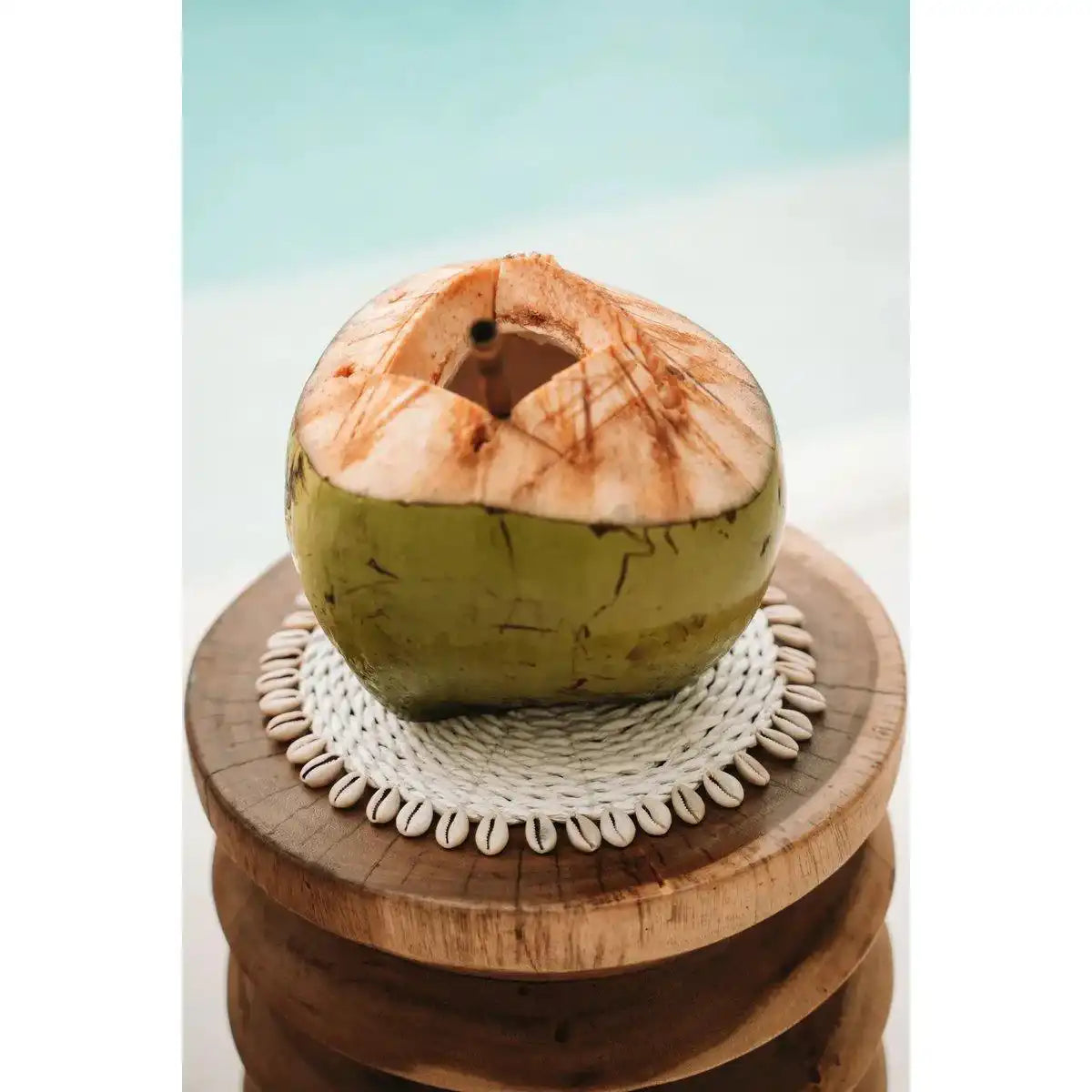 Der Seagrass Shell Pan Coaster - Weiß - HomeDesign Knaus